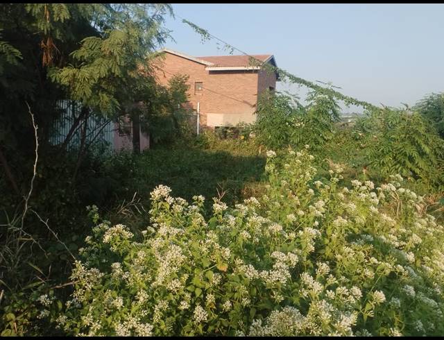 915M² VACANT LAND FOR SALE IN BLUFF
